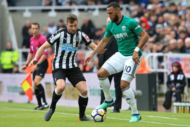 养实现未来 养实现未来