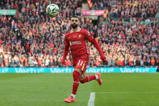 龙大家庭中 龙大家庭中