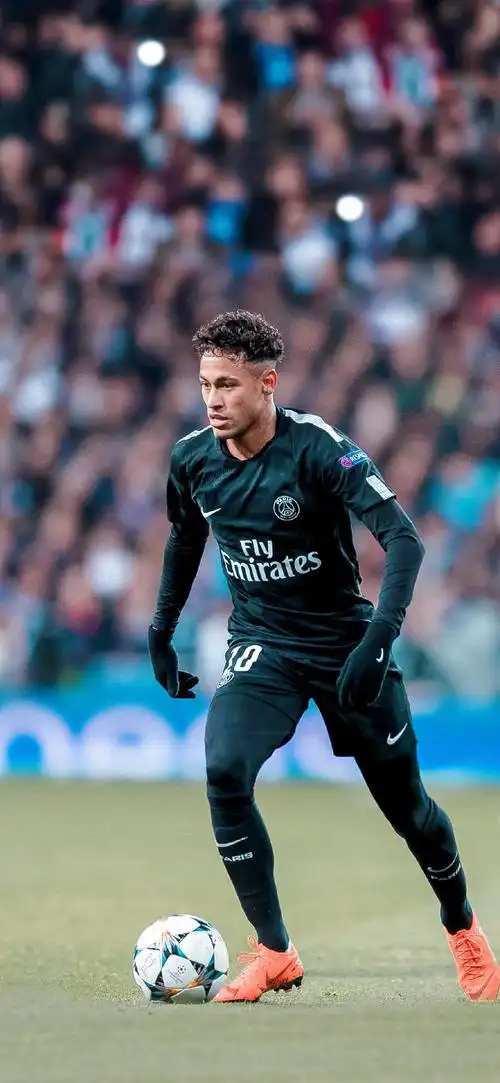 不仅丰富了 不仅丰富了